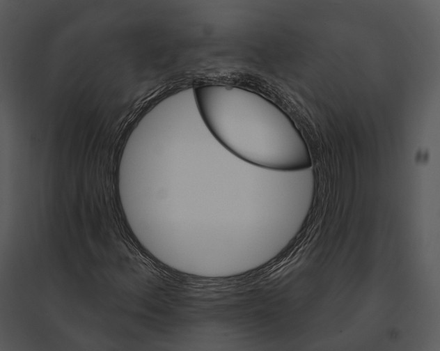 X0000095531156200801041239