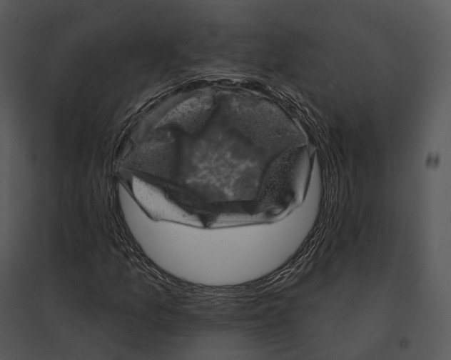 X0000095531157200801041239