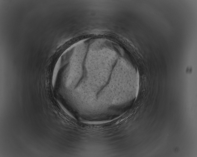 X0000095531158200801041239