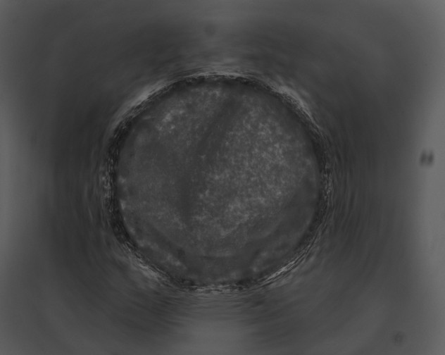 X0000095531159200801041239