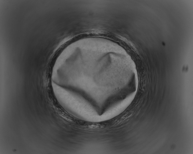 X0000095531160200801041239