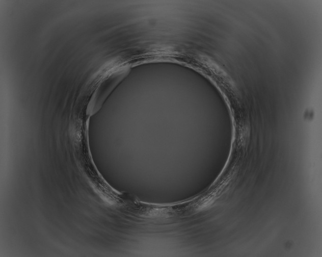 X0000095531161200801041239