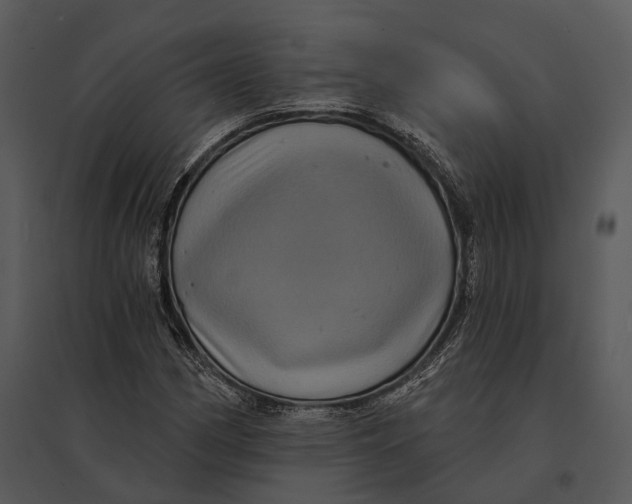 X0000095531162200801041239