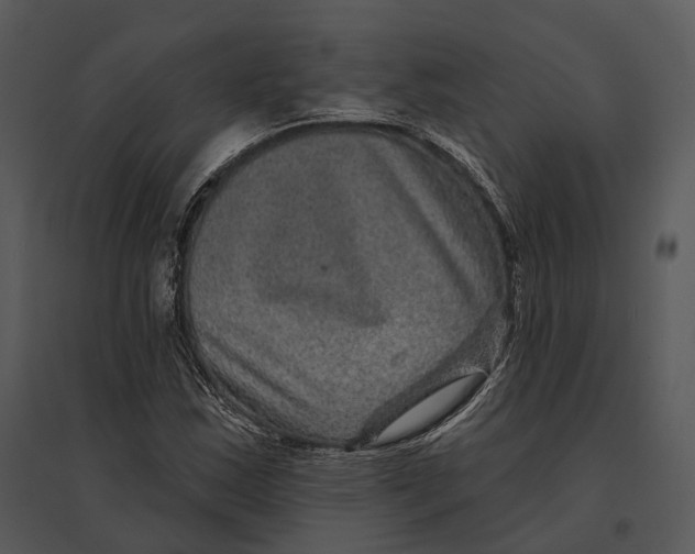 X0000095531163200801041239