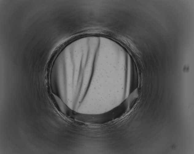 X0000095531164200801041239