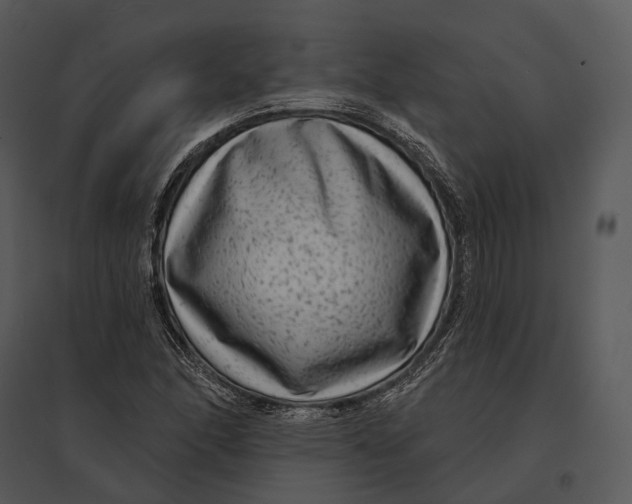 X0000095531166200801041239