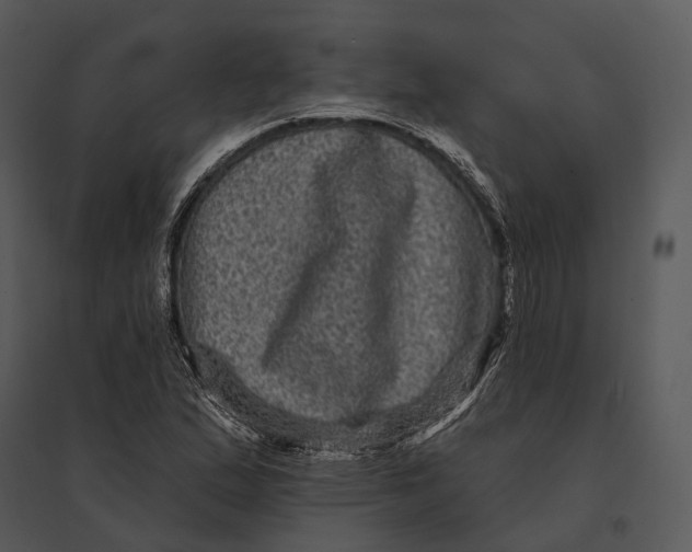 X0000095531167200801041239