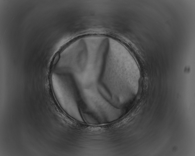 X0000095531168200801041239