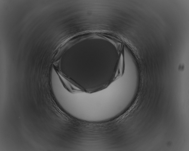 X0000095531169200801041239