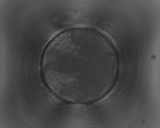 X0000095531170200801041239