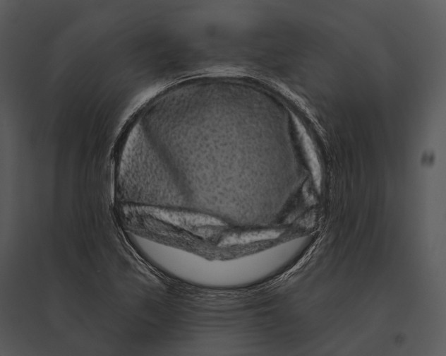 X0000095531171200801041239