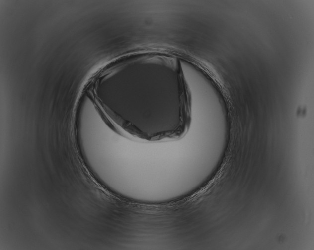 X0000095531172200801041239