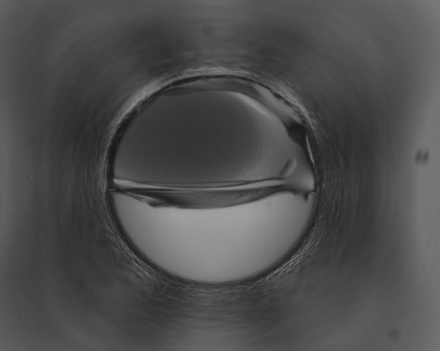 X0000095531173200801041239