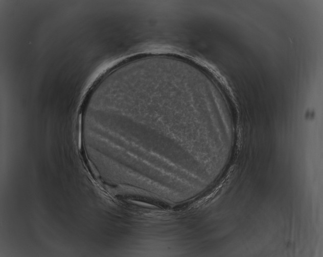 X0000095531175200801041239