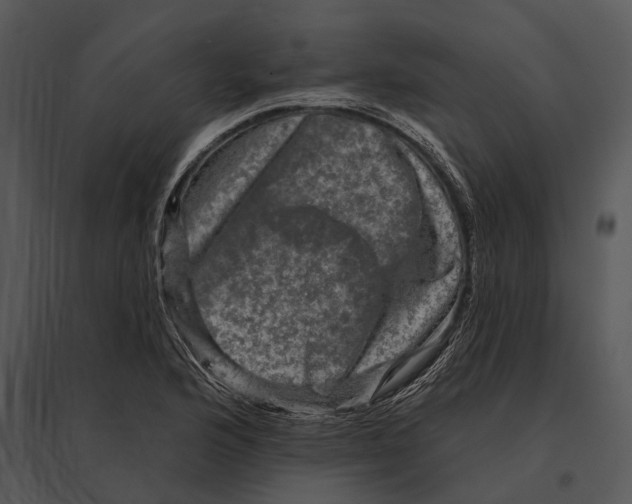 X0000095531176200801041239