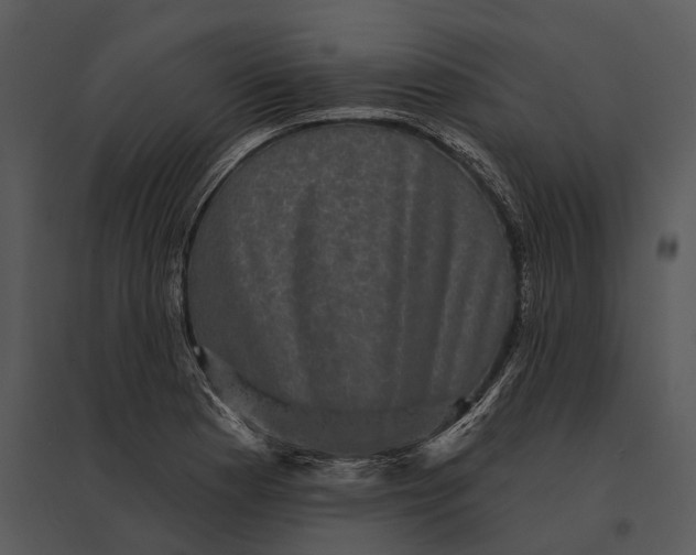 X0000095531177200801041239