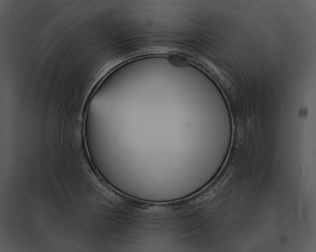 X0000095531178200801041239