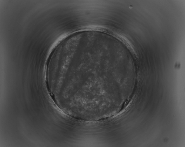 X0000095531180200801041239