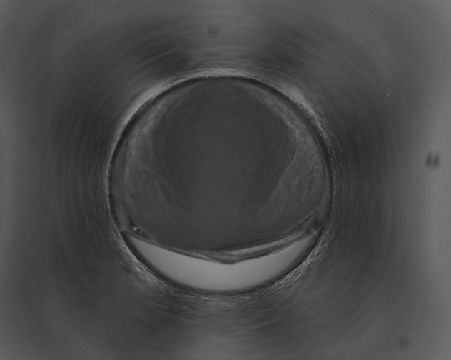 X0000095531181200801041239