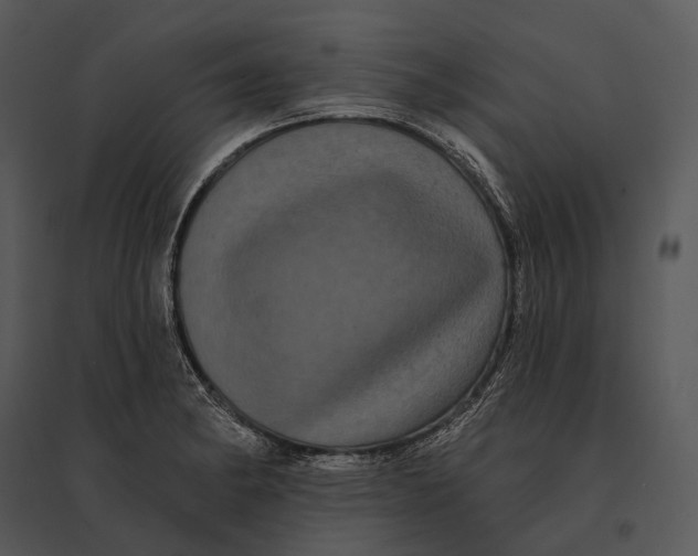 X0000095531182200801041239