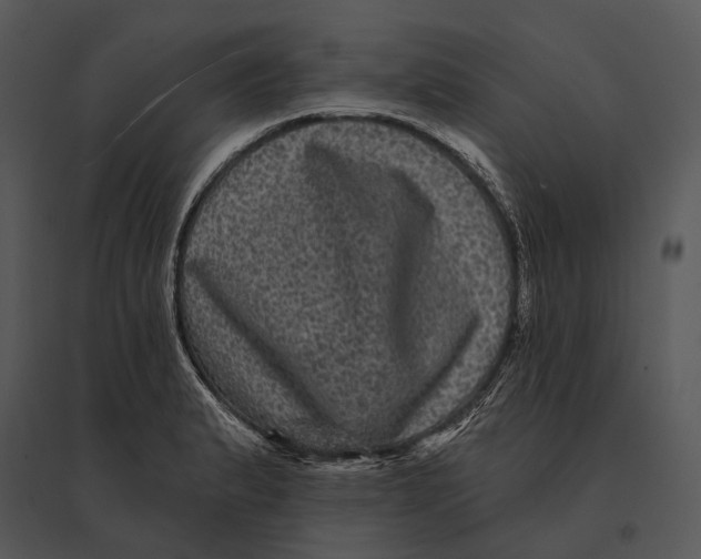 X0000095531183200801041239