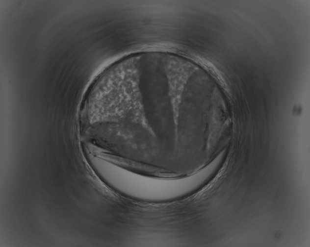 X0000095531184200801041239