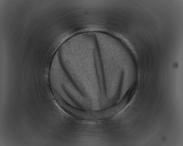 X0000095531185200801041239