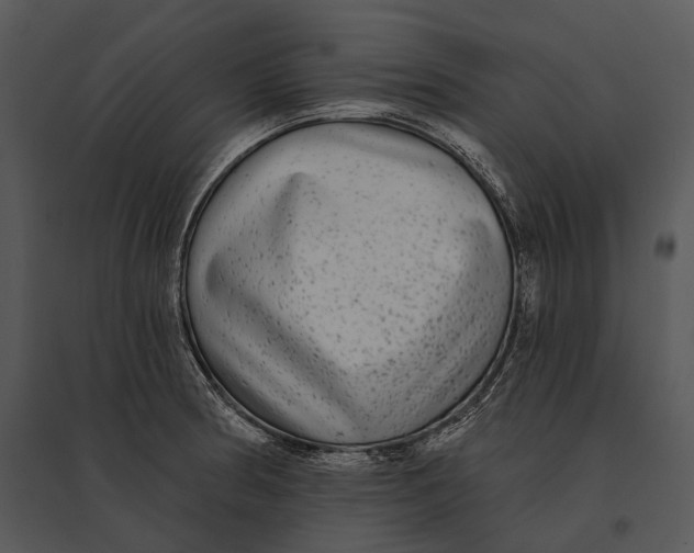 X0000095531186200801041239