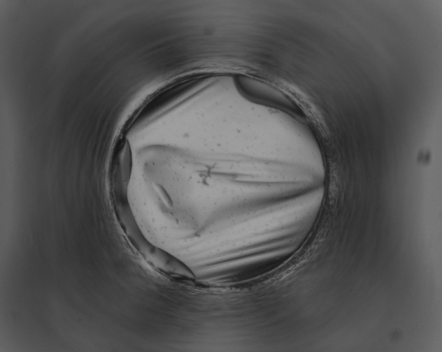 X0000095531188200801041238