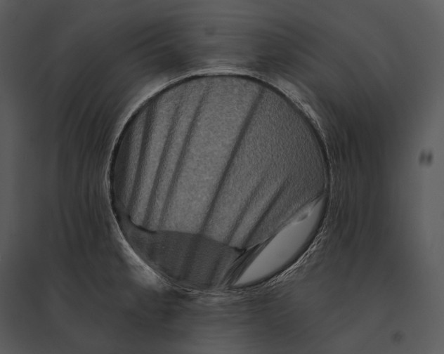 X0000095531189200801041238