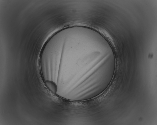 X0000095531190200801041238