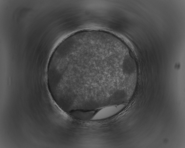 X0000095531191200801041238