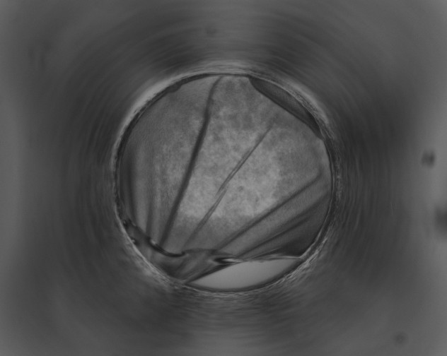 X0000095531192200801041238