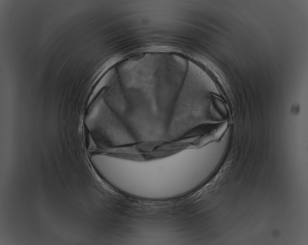 X0000095531193200801041238