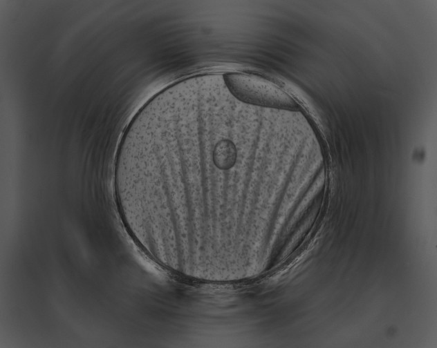 X0000095531194200801041238