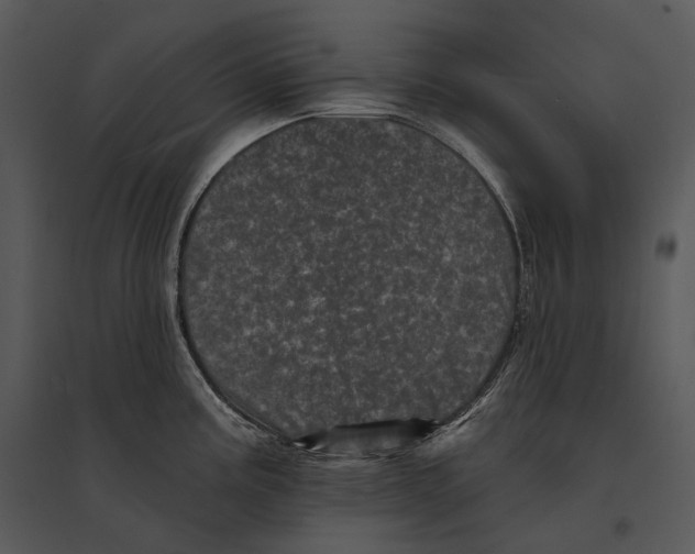 X0000095531195200801041238