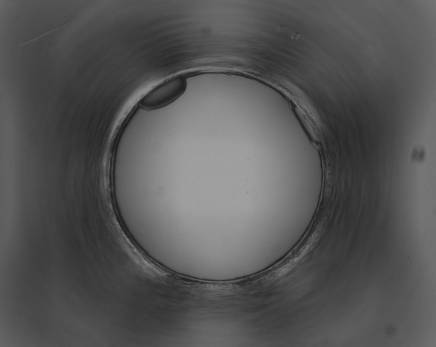 X0000095531196200801041238