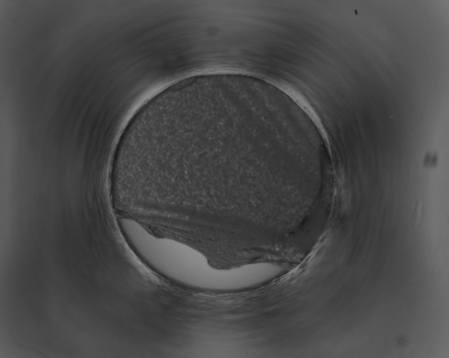 X0000095531197200801041238