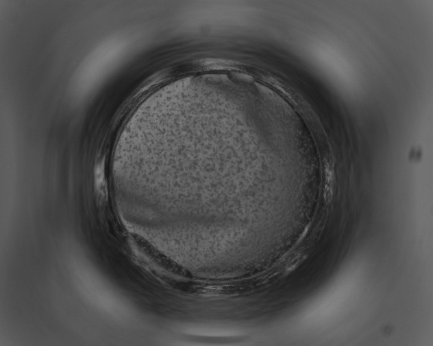 X0000095531198200801041238