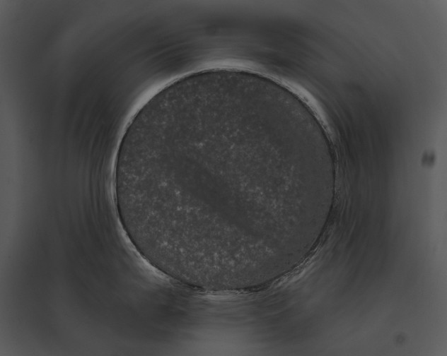 X0000095531199200801041238