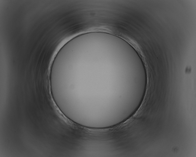 X0000095531200200801041238