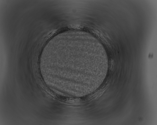 X0000095531201200801041238