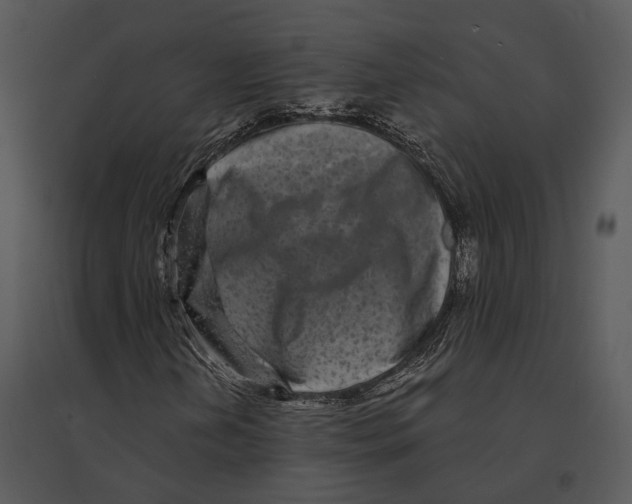 X0000095531202200801041238