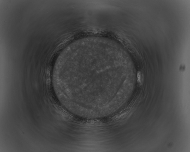 X0000095531203200801041238