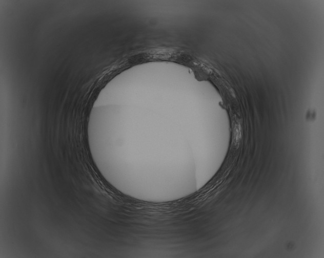 X0000095531204200801041238