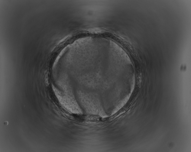 X0000095531205200801041238