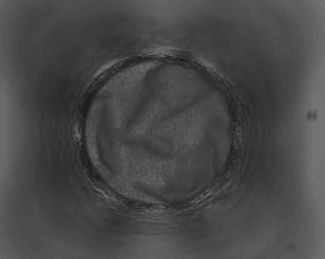 X0000095531206200801041238