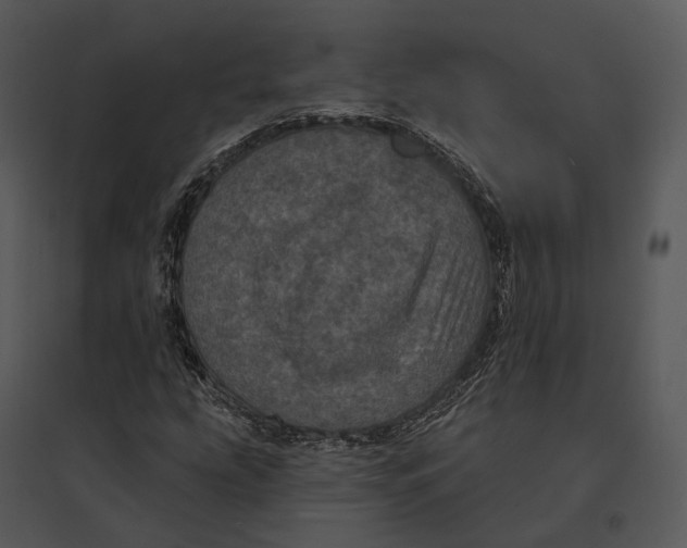 X0000095531207200801041238