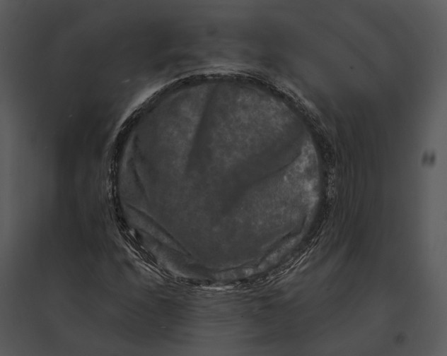 X0000095531208200801041238