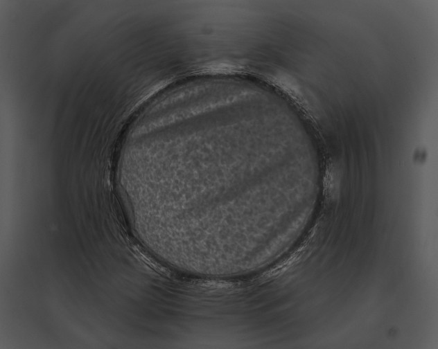 X0000095531209200801041238